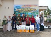 Pemko Payakumbuh Salurkan Benih Jagung untuk Pulihkan Pertanian Pascabencana