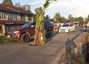 Puluhan Lubang Ancam Pengguna Jalan, Warga Lubuk Basung Tanam Pohon Pisang di Jalan Rusak