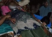 Seberangi Sungai Usai dari Ladang, Petani di Sutera Tewas Terseret Arus Batang Surantih