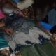 Seberangi Sungai Usai dari Ladang, Petani di Sutera Tewas Terseret Arus Batang Surantih