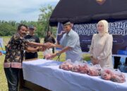 71 Hewan Kurban di Potong di Nagari Gunung Medan