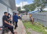 Tiga Sapi Kurban Diterima Warga Huntara Lubuk Buaya