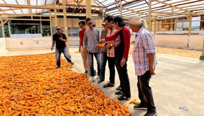 PT CMK Kota Solok Didorong Jadi Penopang Swasembada Pangan Nasional