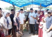 Wako Zulmaeta Apresiasi Bantuan Sapi Kurban 1,2 Ton Presiden untuk Warga Payakumbuh
