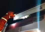 Damkar Pessel Evakuasi Sarang Tawon dan Ular dalam Satu Malam, Warga Tarusan Kembali Tenang