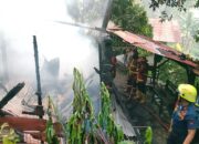 Petir Diduga Picu Kebakaran di Bukit Gado-Gado, Satu Rumah Hangus Dilalap Api
