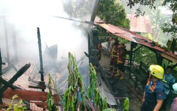 Petir Diduga Picu Kebakaran di Bukit Gado-Gado, Satu Rumah Hangus Dilalap Api