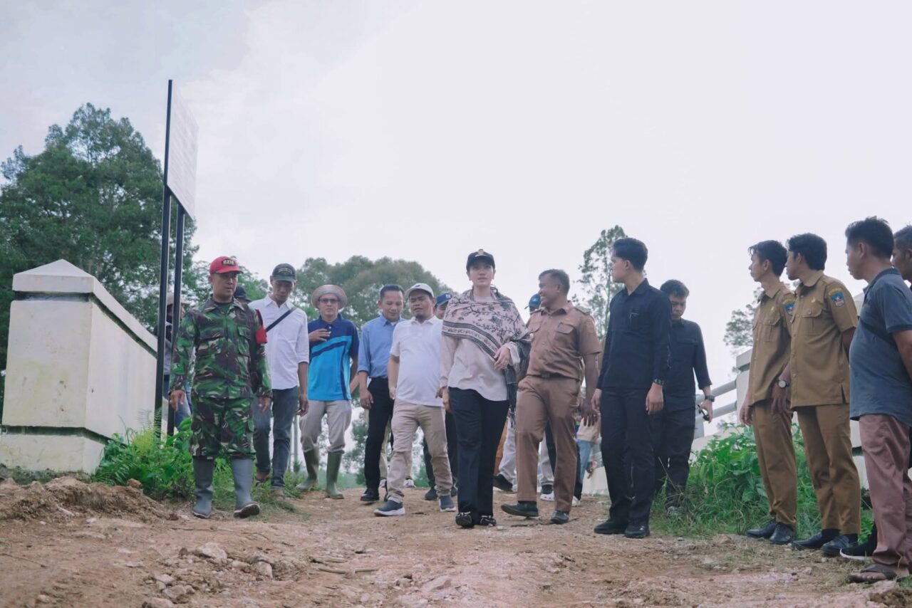 Bupati