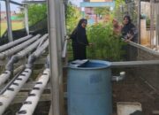 KWT Bunda Atirah Bantu Ibu Rumah Tangga Tambah Penghasilan