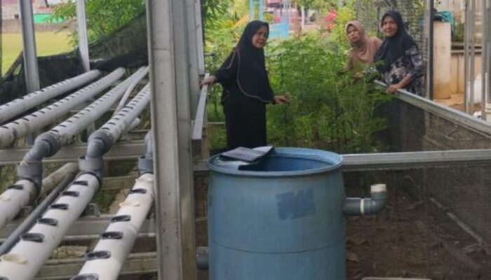 KWT Bunda Atirah Bantu Ibu Rumah Tangga Tambah Penghasilan