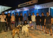 Tim Klewang Polresta Padang Tangkap Dua Pencuri Kambing