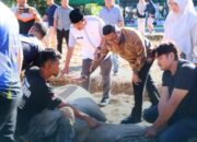 Pemko Bukittinggi dan Mitra Kerja sembelih 12 Ekor Sapi Qurban