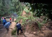 Longsor dan Pohon Tumbang Putus Akses Padang–Painan, Satu Mobil Tertimbun Material di Bungus Barat