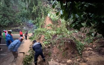 Longsor dan Pohon Tumbang Putus Akses Padang–Painan, Satu Mobil Tertimbun Material di Bungus Barat