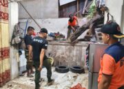 Pohon Karet Tumbang Timpa Rumah Warga