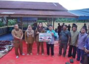 Pemkab Dharmasraya Percepat Modernisasi Pertanian, Puluhan Alsintan dan Puluhan Ton Benih Padi Disalurkan ke Petani