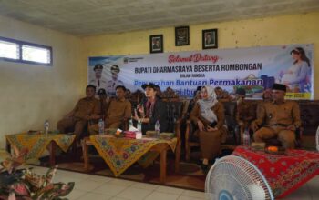 Ibu