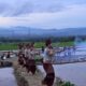 Selatan Sunset Festival 2026 Dorong Wisata dan UMKM Payakumbuh, Pemko Perkuat Ekonomi Kreatif
