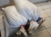 Dubalang Padang Selatan Diamankan Usai Curi 93 Kg Cengkeh