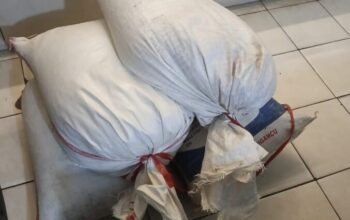 Dubalang Padang Selatan Diamankan Usai Curi 93 Kg Cengkeh