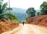 Jalan Bukit Hujan Dharmasraya Bakal Dibangun, Kemiringan Tanjakan Bakal Berkurang