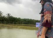 Kebutuhan Ikan di Dharmasraya Capai 15 Ribu Ton Setahun