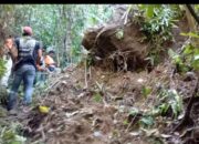 Batu Raksasa Ancam Permukiman, BPBD Padang Bergerak Cepat