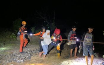SAR