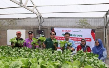 Sharp Resmikan Sharp Hydro Heroes di Bekasi, Berdayakan Ibu Muda Lewat Hidroponik