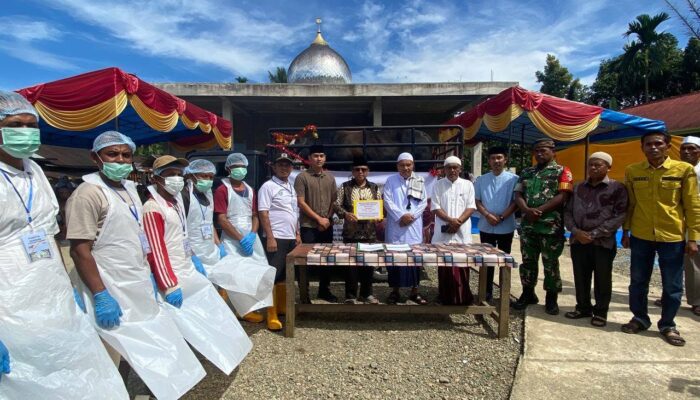 Sapi Kurban Bantuan Presiden Prabowo Disembelih di Gunung Tuleh, Ratusan Warga Bahoras Antusias Saksikan