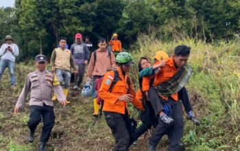 Penyelamatan Perempuan Lansia di Hutan Agam Berakhir Selamat, Operasi SAR Ditutup dalam Hitungan Jam